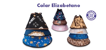 colar elizabetano.jpg